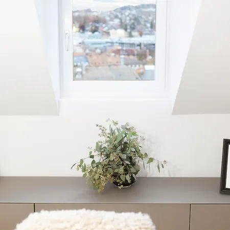 Apartament Bliv Grosszuegiges Altbaujuwel Im Zentrum St. Gallen