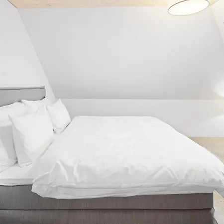 Bliv Grosszuegiges Altbaujuwel Im Zentrum