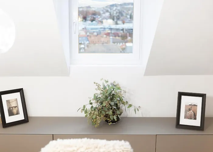 Appartement Bliv Grosszuegiges Altbaujuwel Im Zentrum Sankt Gallen