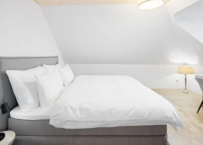 Bliv Grosszuegiges Altbaujuwel Im Zentrum