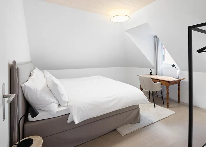 Bliv Grosszügiges Altbaujuwel Im Zentrum